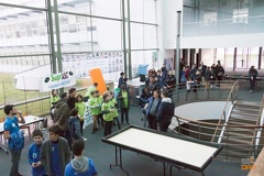 IMG 5196